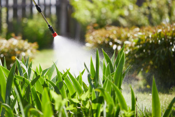 24/7 Emergency Termite Control experts in Gantt, SC